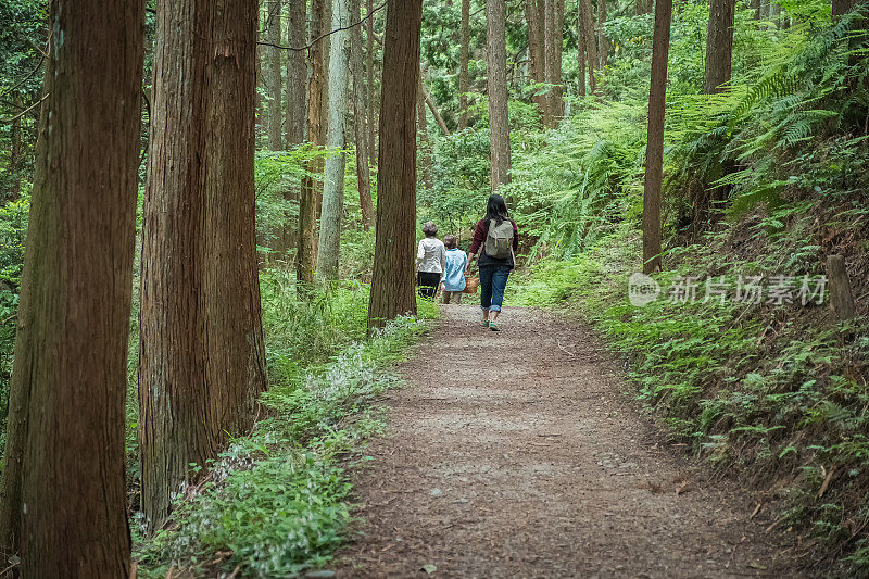 多代日本妇女在日本桧木森林沐浴