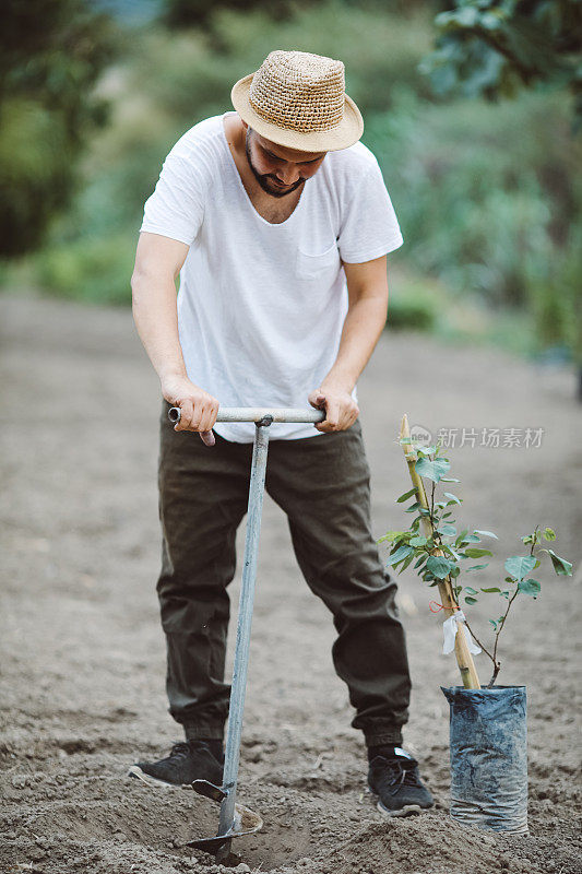 春天，人们在户外植树