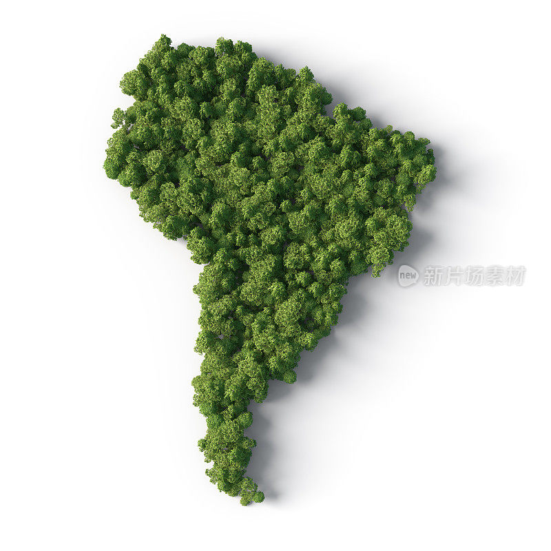 南美洲的森林地图形状
