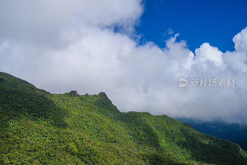 波多黎各云克国家森林的山峰