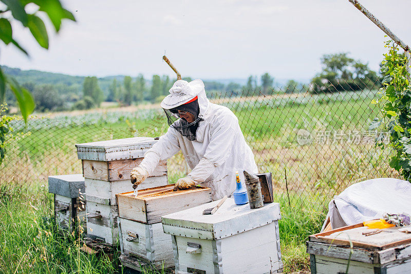 防止被蜜蜂螫伤的防护服