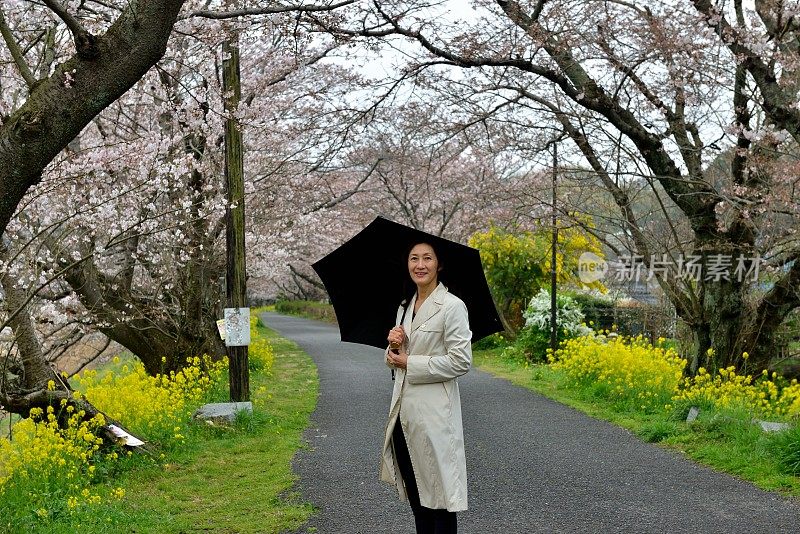 一名日本妇女在山口县岩国的樱花下行走