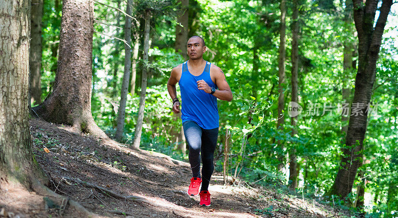 森林里奔跑者的照片