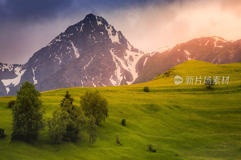 田园诗般的高山景观-瑞士恩加丁的Tarasp野花草地