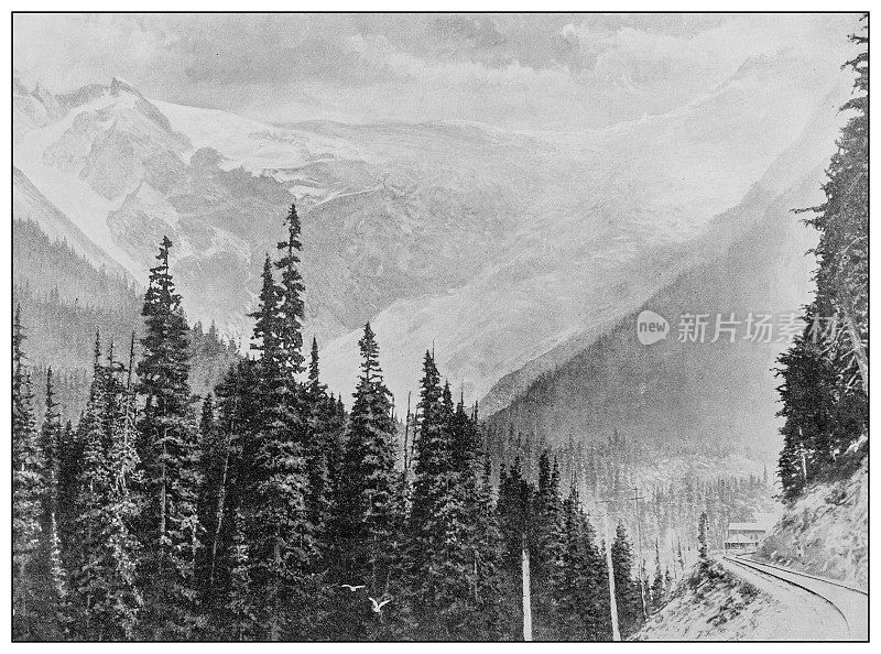 古老的黑白照片:不列颠哥伦比亚省塞尔柯克冰川