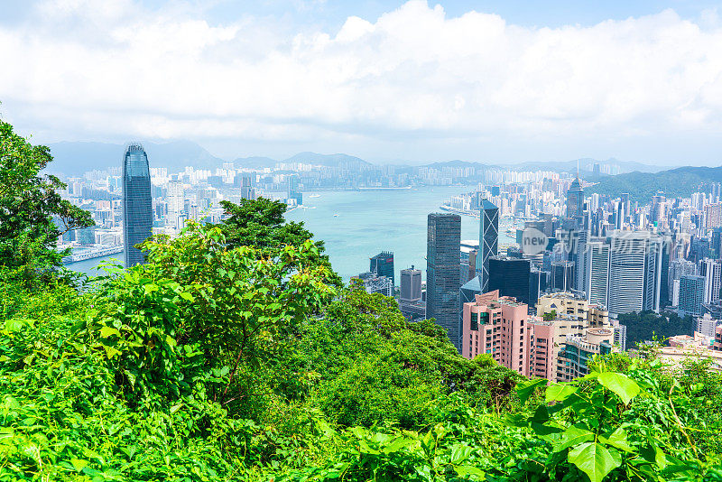 香港日出摩天大楼拥挤的城市景观和海港全景中国