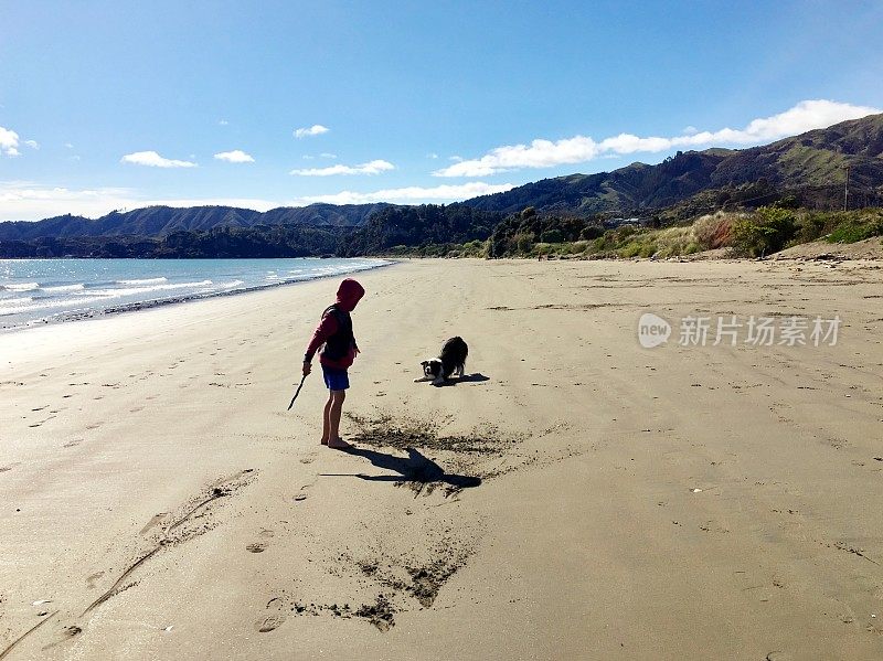 男孩和他的宠物边境牧羊犬在海滩上