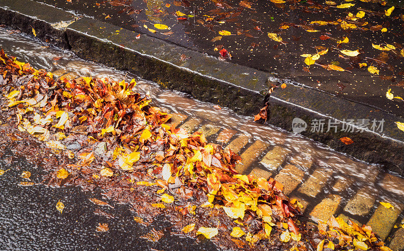 秋天，雨水顺着路边的街道流淌