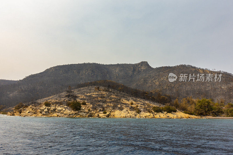 海岸森林大火之后