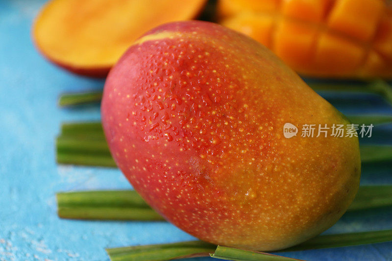 特写完整的，成熟的热带芒果，红色的果皮，在蓝色背景的棕榈叶上，一个切成刺猬立方体，露出橙色的果肉，可以食用