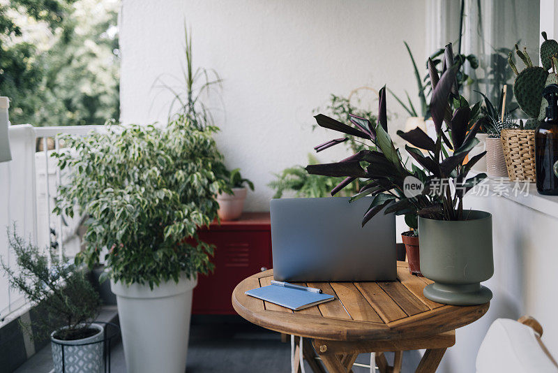 阳台上木桌上的笔记本电脑和各种各样的盆栽植物的空拍