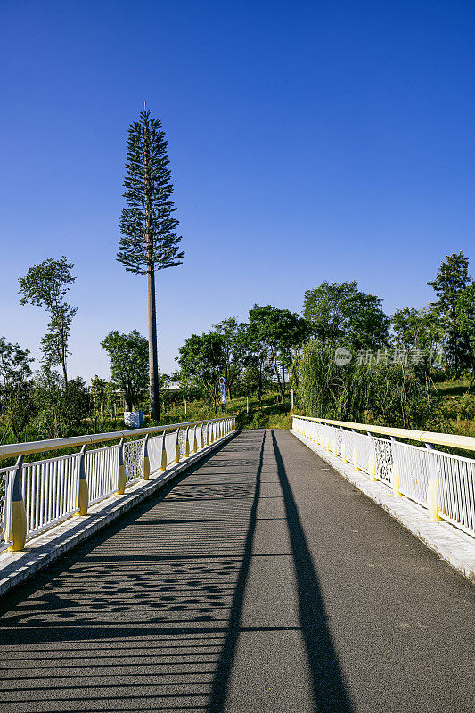 成都城市道路和路灯