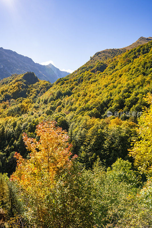乌斯卡的奥德萨比利牛斯，西班牙布贾鲁洛山毛榉林的秋天