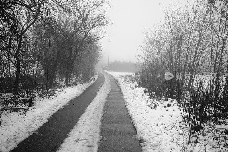 公园在冬天下雪