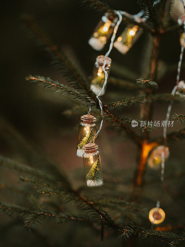 圣诞树上串着彩灯，在森林大自然中营造出温馨的气氛