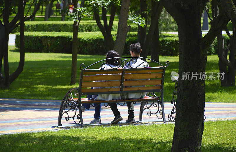 一对情侣坐在公园的木凳上相爱的背影