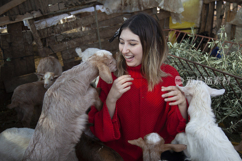 喜欢小山羊的小女孩