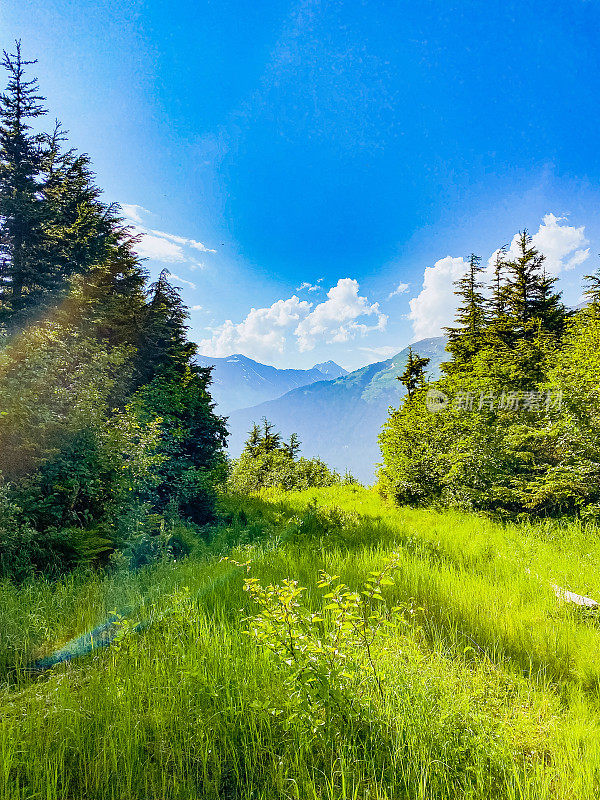 在阿拉斯加格德伍德徒步旅行