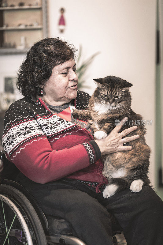 老年残疾西班牙妇女和她的猫的肖像