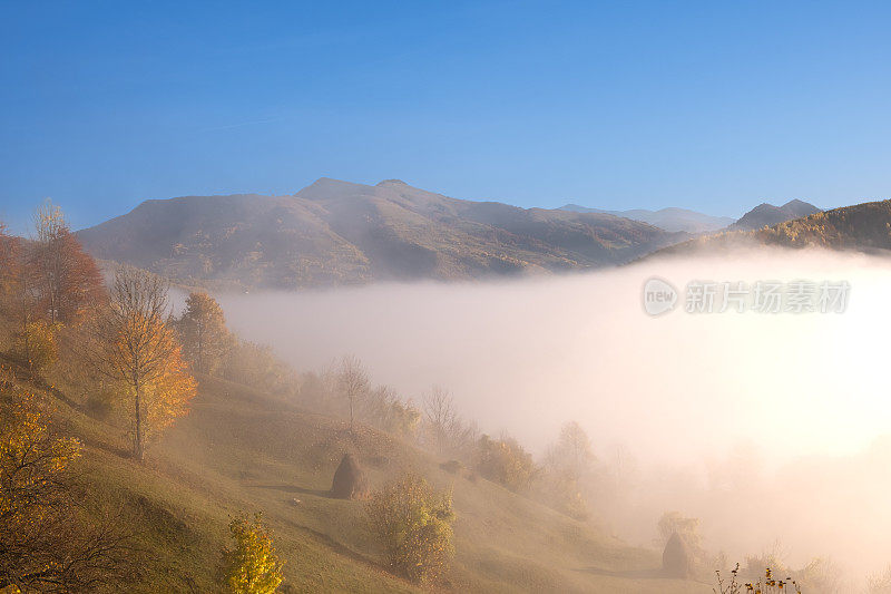 秋天的风景