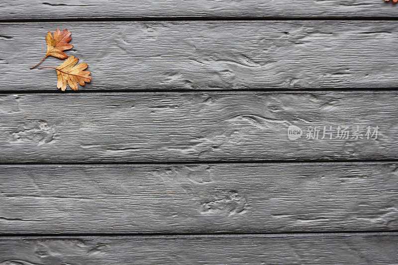 秋天的木质甲板