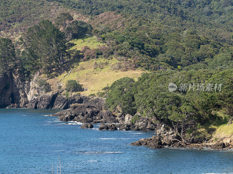 晴天的新西兰海岸线