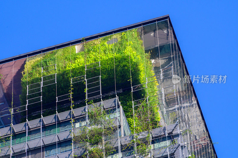 蓝天背景下的城市绿色生态建筑