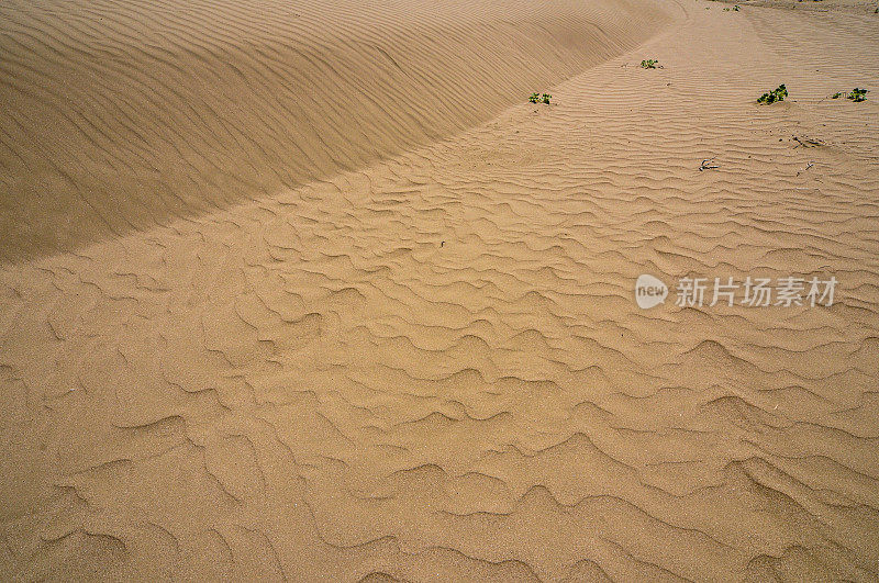 沙子里有风的痕迹