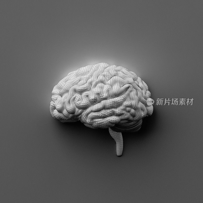 大脑-概念-灰色