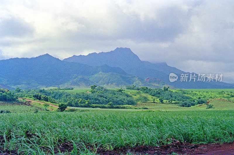 Honopu谷