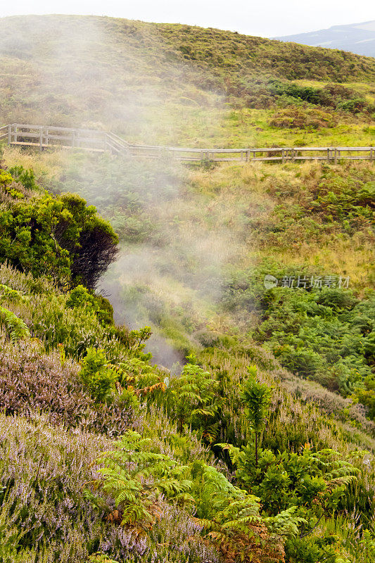 Enxofre，
亚速尔群岛特塞拉岛冒着热气的火山喷发。