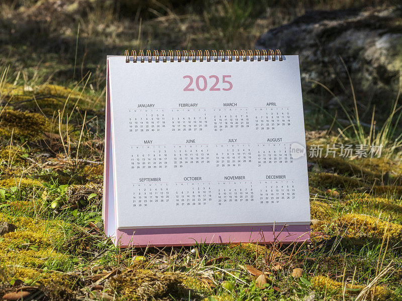 表日历，2025年