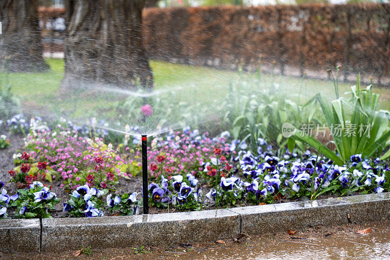 一个电子灌溉系统浇灌着公园的花坛。