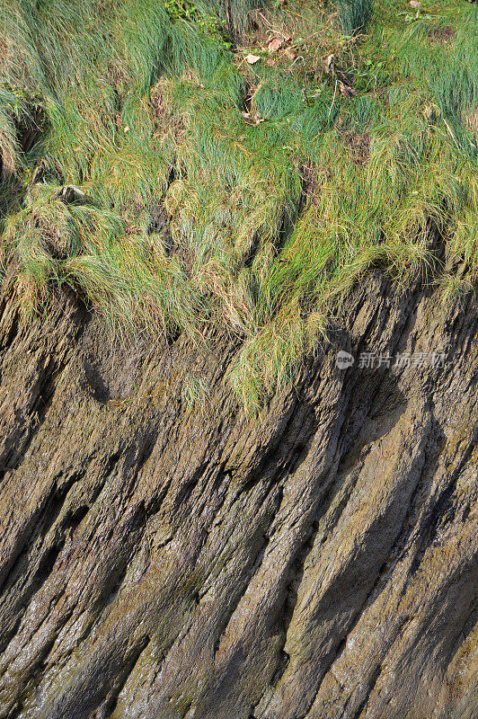 垂直画面的自然地质色彩优美，土地上覆盖着绿色的彩色草和一些裸露的纹理凹凸不平的粗糙的干燥的褐色或变色的灰色的岩石石丘