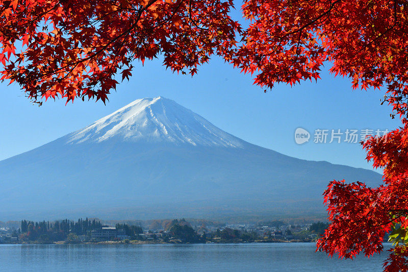 日本富士五湖地区的富士山和秋叶