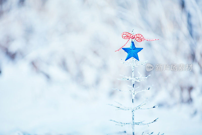 圣诞树与蓝星户外在下雪的天气