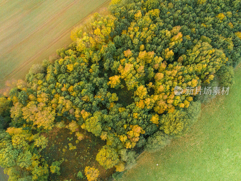 无人机拍摄令人惊叹的五彩秋林