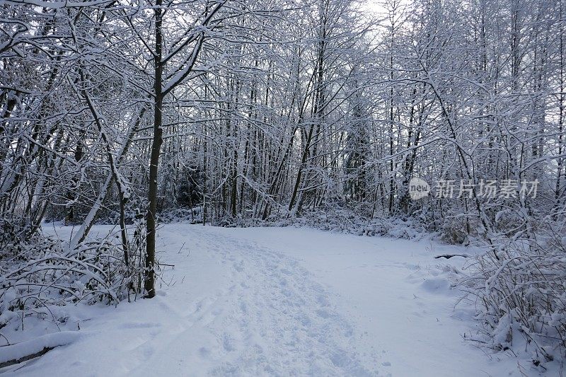 冬天穿着雪鞋走