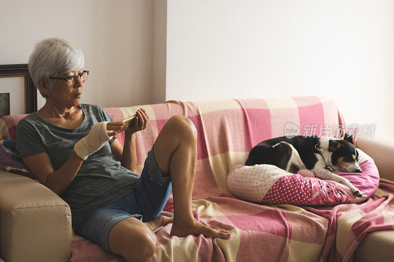 老女人在家里用智能手机，旁边是她的懒狗