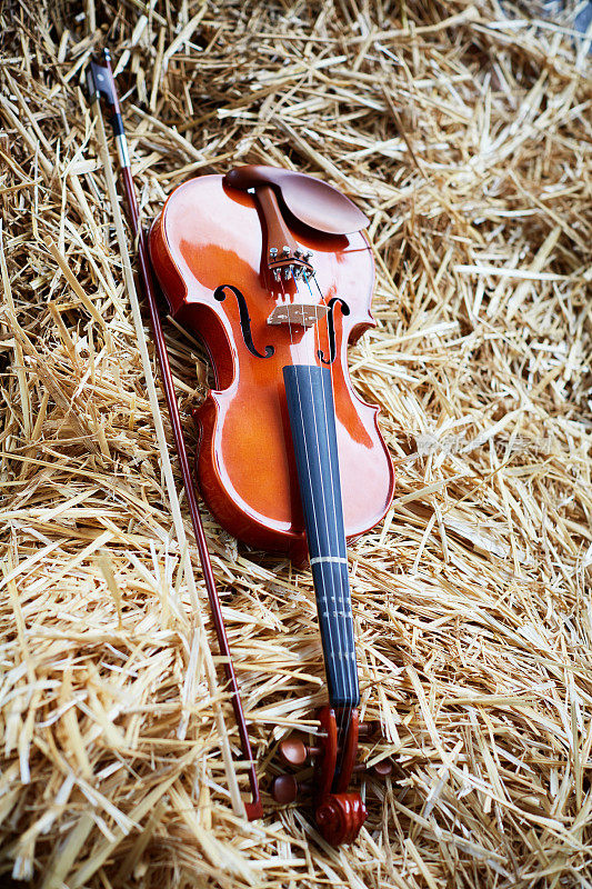 乡村音乐:稻草上的小提琴