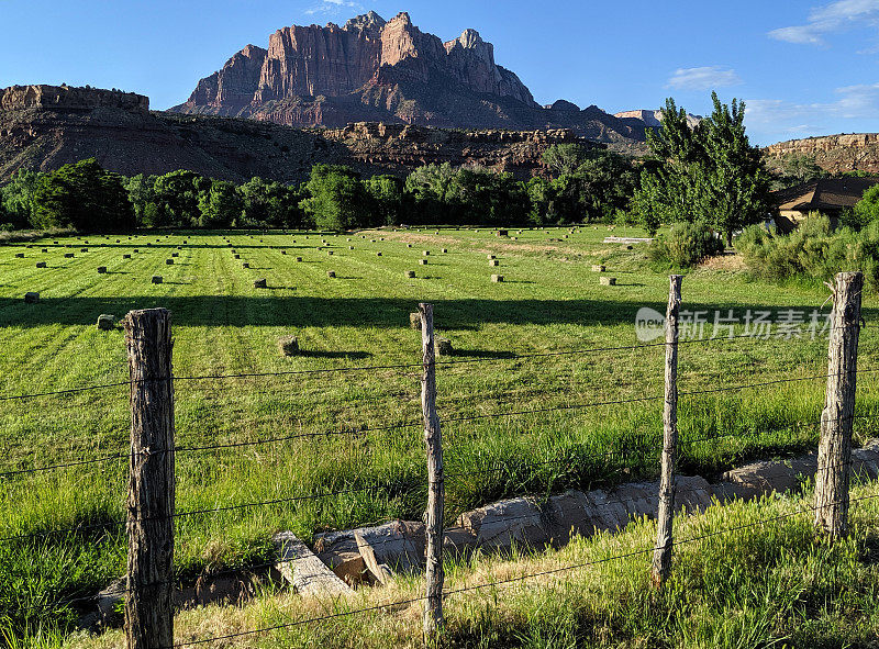 新的干草捆在美丽的绿色牧场在犹他州洛克维尔山下的Kinesava和锡安国家公园犹他州