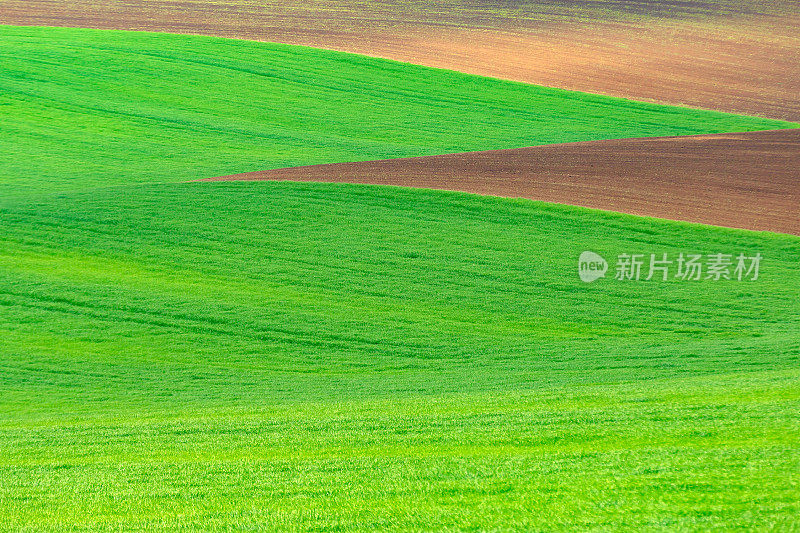 耕种田地