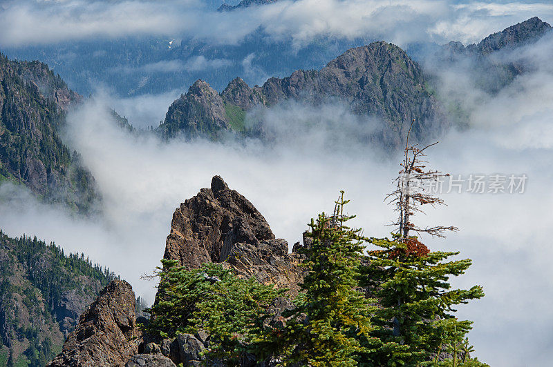 云海之上的奥林匹克山