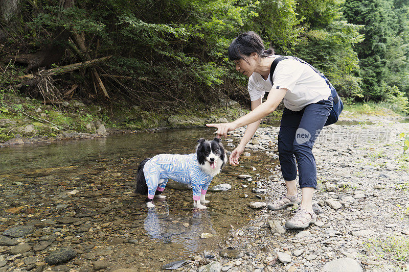 一个女人和宠物博德牧羊犬在大自然中休息