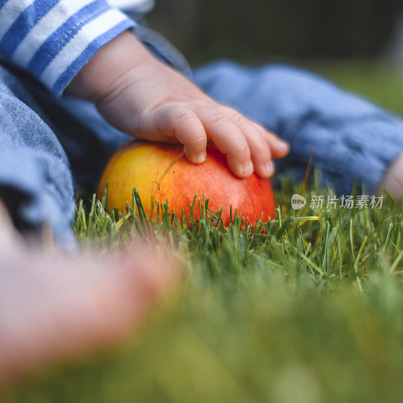 好奇的白人男婴坐在草地上拿着苹果