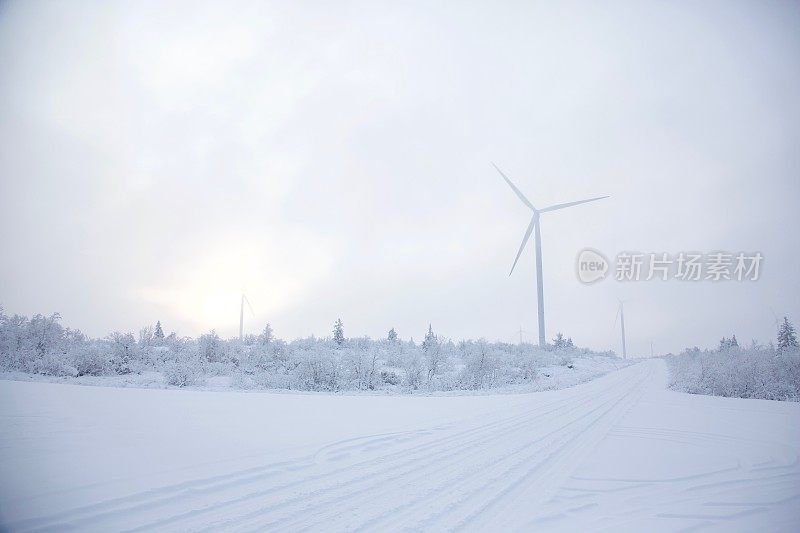 风力涡轮机在冬季景观