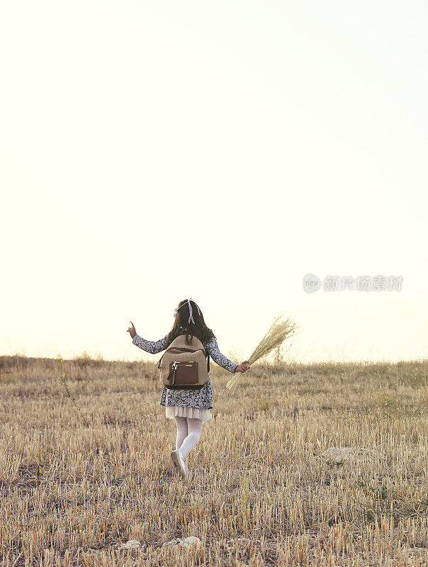 秋天的小女孩在田野上享受大自然。小女孩在户外，在阳光下举起双手。小女孩在田野上奔跑，阳光。发光的太阳。自由快乐的小女孩