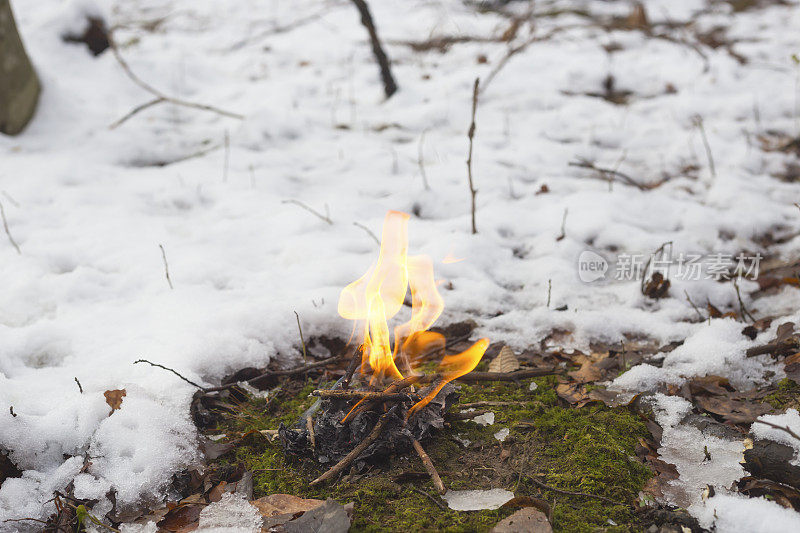 冬天森林地面上的小营火
