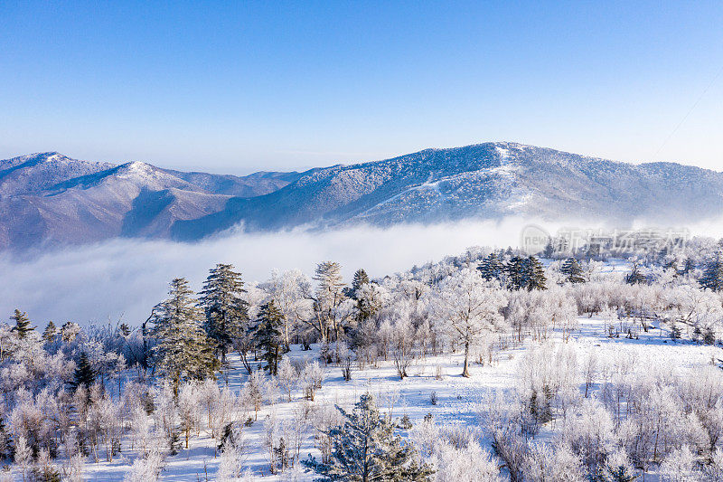 冬季高山滑雪