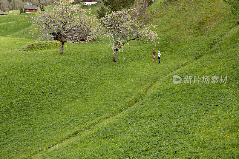 远方的徒步夫妇攀登草甸坡，在山上